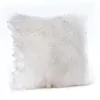 Oreiller en peluche blanche, taie d'oreiller moderne Simple, Imitation laine, couleur unie, couverture lombaire 45x45cm, vente en gros
