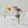 Vaser Bild Frame Flower Vase Transparent Creative Modern Art Home Bedroom Living Room Decoration Office TABLITED Ornament 240122