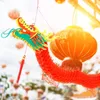 Kinesiska Dragon Paper Decoration Festival Year Garland Plastic Hanging Lantern Ornament for Decoration Year Spring Festival 240127