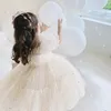 Bebek Şampanya Vaftiz Elbise Sevimli Kız Sequin Puff Sleeve Peri Balo Gown Born 1 Yıl Doğum Günü Kıyamet Kids Resmi Parti Elbisesi 240122