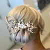 Haarspeldjes Kristal Bloem Parel Blad Kam Hoofdbanden Tiara's Haarspeld Voor Vrouwen Bruid Feest Bruiloft Bruidsaccessoires Sieraden Cadeau