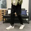 Korean style pants spring 2024 trend new thin cotton Chinese mens casual pants street clothing 240215