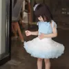 キッズドレスガールズチュチュスカートベビー幼児プリンセススカートボールガウン子供メッシュふわふわスカートバースデー幼児パーティー漫画プリーツドレス＃＃