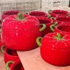Bowls Soup Pot Tomato Bowl High Temperature Resistant Large Capacity Double Ear Dormitory Instant Noodle Tableware