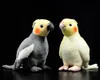 18cm 작은 실생활 노란색 Cockatiel 플러시 장난감 여분의 부드러운 앵무새 박제 새 동물 장난감 크리스마스 선물 240118