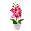 Dekorativa blommor konstgjorda phalaenopsis falska bonsai krukväxter blomma orkidé blommor hem dekor bröllop dekorationer ornament