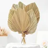 Fleurs décoratives 6 pièces, feuilles de palmier séchées tropicales naturelles, décoration sèche, style Boho, pour mariage, mur de chambre à coucher