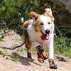 Köpek Giyim Su Geçirmez Slip Anti-Slip Ayakkabı Orta Köpekler Yansıtıcı Kırmızı Botlar Kış Ayakkabı Büyük