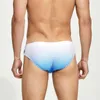 Sous-vêtements XXL Impression Slips pour hommes Taille basse Knickers Respirant Sexy Sous-vêtements de bain Culottes de plage Sans couture Élastique