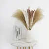 Dekorativa blommor torkad blomma bouque med liten vass kombination DIY -arrangemang för heminredning boho bröllopsdekoration bord canterpiece