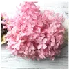 Dekorativa blommor Yunnan Factory Wholesale Hydrangea Artificial Flower bevarad