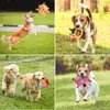 Plush Dog Vocal Toy Ball Funny Interactive Pet Toys With Bells Cleaning Tooth Chew Toy för små stora hundar Katter Valp Plaything 240118