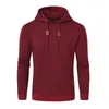 Mannen Herfst Casual Hoodies Lange Mouw Trekkoord Sweatshirt Trainingspak Hoody Streetwear met Plaid Jacquard 240202
