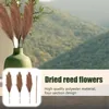 Bouquet de roseaux artificiels séchés, fleurs décoratives, herbe de la Pampa séchée, Phragmites de ferme rustique, 110cm/43 pouces