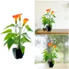 Decorative Flowers Simulation Bonsai Flower Calla Lily Orange Suitable For Any Scene Indoor Outdoor Faux Spheres