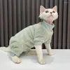 Costumi per gatti Panni caldi di lusso Sphynx Sweatershirt Devon Rex Cappotto Dolcevita Canottiera per cotone Pet Sottopelo Gattino