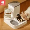 Kimpets Pet Cat Автоматическая кормушка для питьевой воды Диспенсер для воды большой емкости для сухого и влажного отделения Контейнер для еды Товары для домашних животных 240124