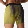 Cuecas 2024 caixa de estilo homens calcinha boxer roupa interior longa para homem shorts e malha homme luxo boxerhomme ginásio gay