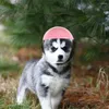 Abbigliamento per cani Cappelli da pet HATS SICUREZZA PER DECORAZIONE DECOUNT PLACIO PROTECTIVO CUPPY SPOOF