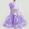 Vêtements pour chiens Robe de soirée pour animaux de compagnie Printemps et automne Vêtements pour chats Violet Rose Rose Gaze Princesse Petits et moyens chiens