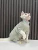 Kedi Kostümleri Lüks Sıcak Kumaşlar Sfenks Sweatershirt Devon Rex Coat Ceket Belktleneck Pamuklu Pet Altı Yemek Yavru Yavru