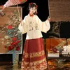 2024 Chinese maanjaar van de draak Hanfu Womens vierkante hals rok Pipa mouw paard gezicht rok winter Ming-dynastie Mamia 240130