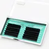 Qeelasee 4 boxes of Auto Flowering Rapid Blooming Fan Easy Eyelashes240129