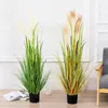 卸売緑の植物リードセタリアボンシア大型人工乾燥花Psia Grass FAKE FAKE植物ホームガーデンウェディングアウトドア装飾240127