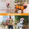 Vestuário para cães Chapéu para animais de estimação Chapéus duros Segurança para decoração Decorativa Plástico Gato Protetor Puppy Spoof