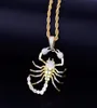 Collier pendentif Hip Hop Animal Scorpion, chaîne couleur or, Zircon cubique scintillant, bijoux pour hommes et femmes, cadeau 223L4503741