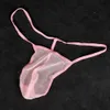 Slips Höschen Erotische Dessous Tiny G Strings Männer Mini Pouch Sexy Unterwäsche Durchsichtige Mesh-Unterhose Männlicher offener Hintern Leopard YQ240215