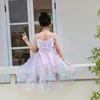 Yaz Çocuk Kız Elbise Büyük Kelebek Askı Buz ve Kar Fantezi Kız Renkli Işıklar Prenses Elbiseler H2325 240126