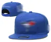 2024 Fashion Baseball Cap Outdoor Summer Men Women Propostoile Sunvisor Ware Duck Logical Hat للسفر المطرز قبعة قابلة للتعديل ذات الجودة الجيدة F1