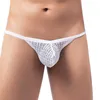 Briefs trosor smarta-menmode g sträng män mini thong sexig spets underkläder elastiska transparenta mesh paniter man se genom erotiska underbyxor yq240215