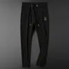 Light Luxury Winter Vertical Stripe Sports Pants for Men's Slim Fit Versatile Tie Feet High End Casual Guard Pants for Men