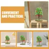 Fleurs décoratives 2pcs Fruit Tree Landscaping Mode