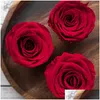 Couronnes de fleurs décoratives Fleurs décoratives 8pcs / boîte conservées têtes de fleurs de roses fraîches 4-5cm roses séchées pour ours en peluche fait à la main D Dh3Tq