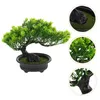 Dekorativa blommor Simulering Välkommen Pine House Plants Imitation Bonsai Ornament Home Decoration Tree Hushåll Konstgjord plastkontor