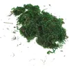 Flores decorativas artificial musgo líquen simulação plantas verdes falsas para decoração de pátio (20g/pacote pequeno) rolo de grama moos