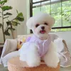 Vêtements pour chiens Vêtements pour animaux de compagnie Jupe Robe Bow Petit chat de lait Teddy Chiot Maltese Automne et hiver Style Princesse