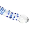 Double Ended Glazen Dildo Met Wervelingen Hobbelige Spiraal Wand Crystal Dong Penis Vrouwelijke Masturbatie Anale Butt Plug Volwassen Masturbator 240130