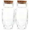 Storage Bottles 2 Pcs Wishing Bottle Glass Containers With Lids Craft Origami Paper Mini Cork Decorative Ornament