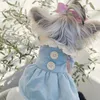 Hundebekleidung, blaues Schnürkleid, kleine Kleidung, Spitzen-Reversjacke, Hundekleidung, Katze, süß, Kawaii, bequem, Winter, Haustierartikel im Großhandel