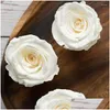 Couronnes de fleurs décoratives Fleurs décoratives 8pcs / boîte conservées têtes de fleurs de roses fraîches 4-5cm roses séchées pour ours en peluche fait à la main D Dh3Tq