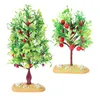 Fleurs décoratives 2pcs Fruit Tree Landscaping Mode