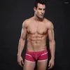 Underbyxor Herrboxare Sexiga trosor Underkläder Bomullsöversikt med andningsbart mode för gay shorts tryckboxare man slip
