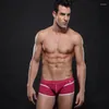 Cuecas masculinas boxers sexy calcinha cuecas de algodão respirável breve moda para shorts gays impressão boxer homem deslizamento