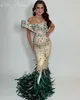 2024 Aso Ebi Mermaid Illusion Prom Dress Beaded Crystals Feather Evening Formal Party Second Reception Birthday Engagement Gowns Dresses Robe De Soiree ZJ29