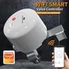 Smart Home Control Tuya WIFI Water Gas Gas Inform On/Off Auto Timer DN15 DN20 Wsparcie rur Alexa zdalny czujnik kontrolera