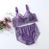 Soutien-gorge Ensembles Style d'été Mince Lingeries Sexy Femmes Plus Taille 110EFGH Grandes Tasses Dentelle Fleur Slips Sous-Vêtements Pour Femmes Costumes